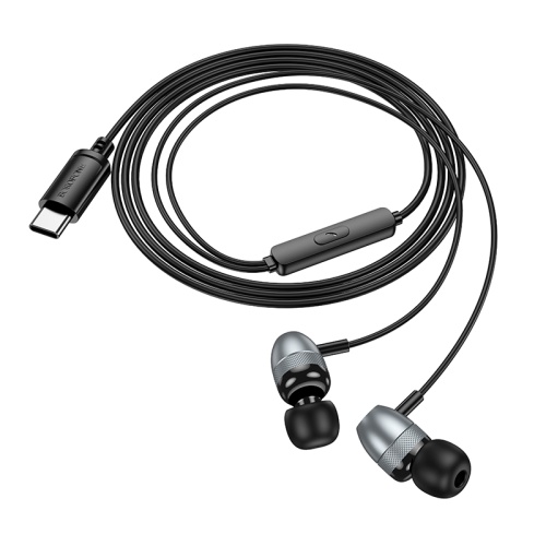 Наушники с микрофоном BOROFONE BM95 Type-C (серый-метал) фото 2